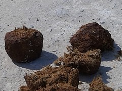 20160916_101342