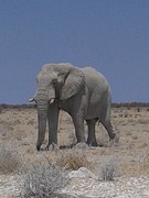 20160916_134851