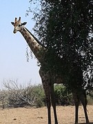 20160923_101407