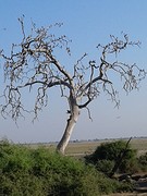 20160923_073753