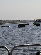 20160923_145012