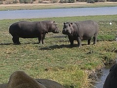 20160923_151457