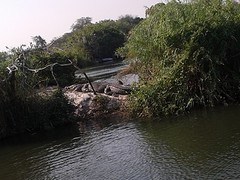 20160923_160116