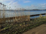 Langs de Reeuwijkse plas