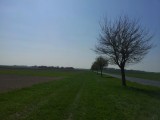 ook vandaag weer eindeloze velden (2)