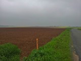 Roodbruine velden