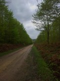 'n Steenweg