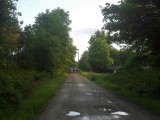 Bospad