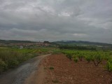 Navarette