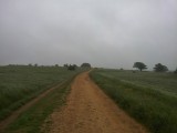 bospad