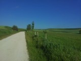 Prachtige groene velden