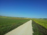 20130625_094713 (2)