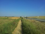 Pad langs de ongebruikte autoweg