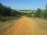 Pad langs de ventweg