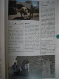 Pag. 211