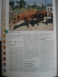 Pag.212