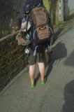 Dame met een hondje op crocs
