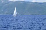 IMG_9934