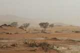 IMG_5711