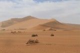 IMG_5724