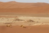 IMG_5731