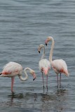 IMG_6292