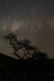 IMG_0450