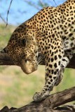 IMG_0472