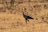 IMG_7746