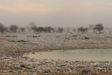 IMG_8586