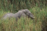 IMG_9859