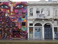 DSC06519