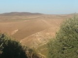 20130225_171927