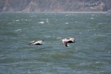 IMG_3049