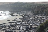 IMG_3438