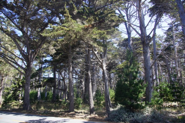 DSC03459