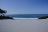 DSC03494