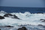 DSC03544