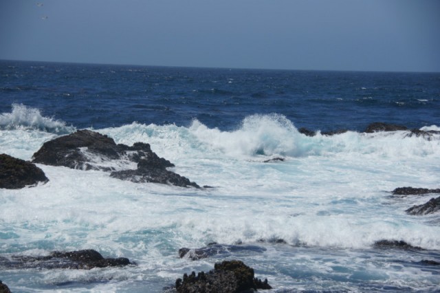DSC03544
