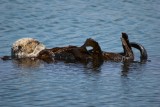 IMG_3500