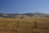 DSC03702