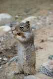 IMG_4690
