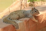 IMG_4655