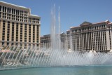 IMG_4957