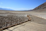 IMG_5257