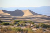 IMG_5338