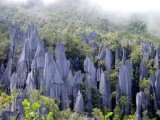 Gunung National park