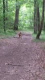 Gast die langs kwam terwijl ik op een muurtje zat te eten