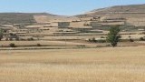 meseta