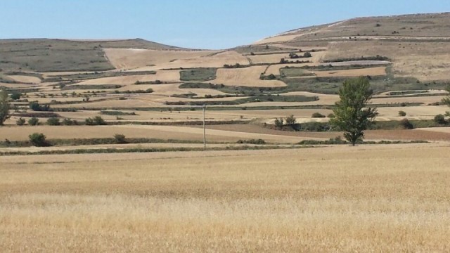 meseta